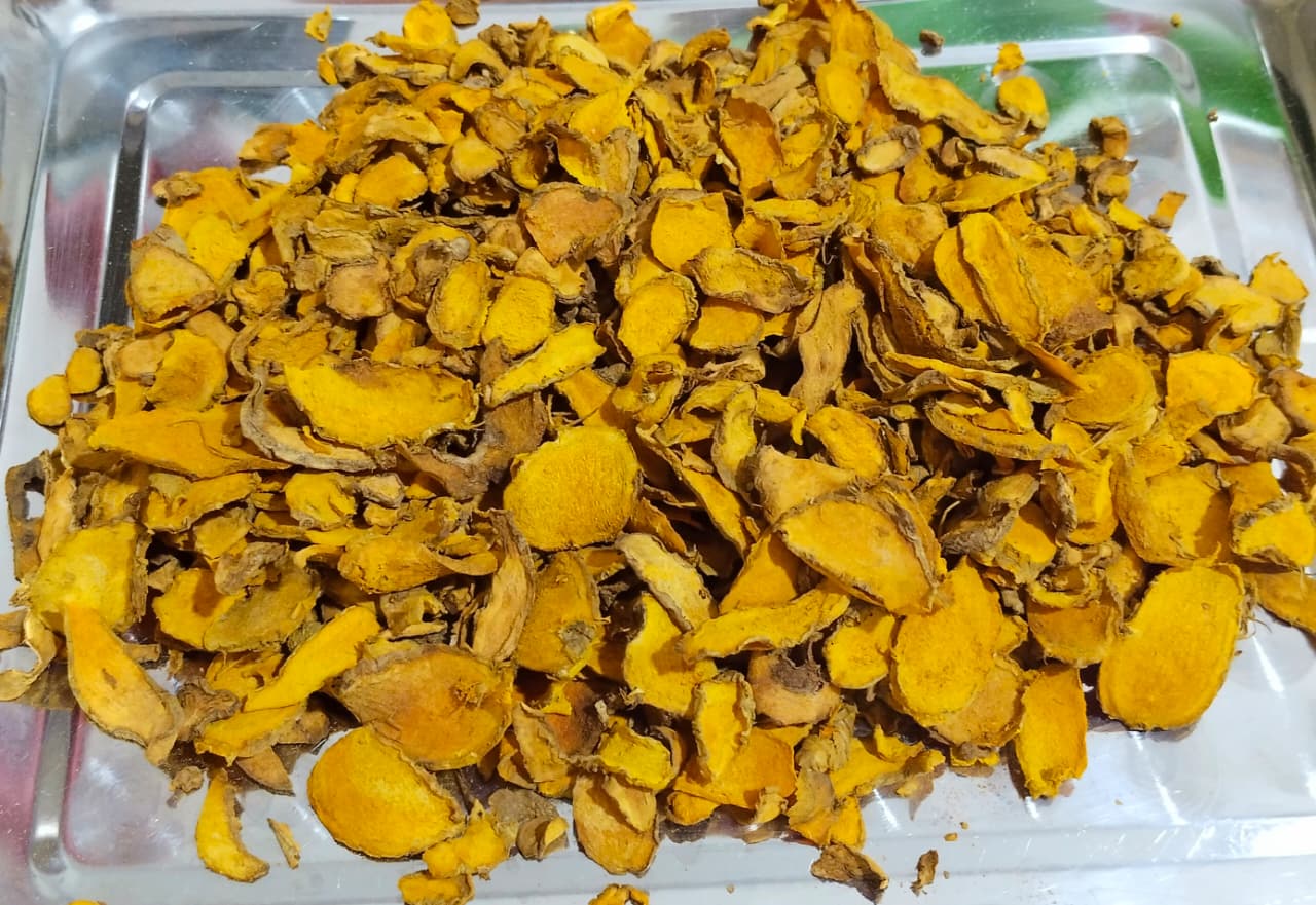 Nohyoghi Company Gallery 8